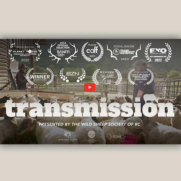 Transmission movie
